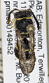  ( - PMAE0775)  @13 [ ] CreativeCommons - Attribution Non-Commercial Share-Alike (2019) Royal Alberta Museum Royal Alberta Museum