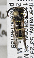  ( - PMAE0776)  @13 [ ] CreativeCommons - Attribution Non-Commercial Share-Alike (2019) Royal Alberta Museum Royal Alberta Museum