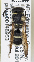  ( - PMAE0778)  @13 [ ] CreativeCommons - Attribution Non-Commercial Share-Alike (2019) Royal Alberta Museum Royal Alberta Museum