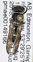  ( - PMAE0779)  @13 [ ] CreativeCommons - Attribution Non-Commercial Share-Alike (2019) Royal Alberta Museum Royal Alberta Museum