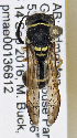  ( - PMAE0781)  @13 [ ] CreativeCommons - Attribution Non-Commercial Share-Alike (2019) Royal Alberta Museum Royal Alberta Museum