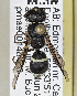  ( - PMAE0784)  @11 [ ] CreativeCommons - Attribution Non-Commercial Share-Alike (2019) Royal Alberta Museum Royal Alberta Museum