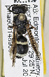  ( - PMAE0785)  @11 [ ] CreativeCommons - Attribution Non-Commercial Share-Alike (2019) Royal Alberta Museum Royal Alberta Museum