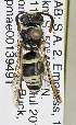  ( - PMAE0795)  @13 [ ] CreativeCommons - Attribution Non-Commercial Share-Alike (2019) Royal Alberta Museum Royal Alberta Museum