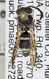 ( - PMAE0800)  @13 [ ] CreativeCommons - Attribution Non-Commercial Share-Alike (2019) Royal Alberta Museum Royal Alberta Museum