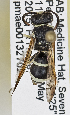  ( - PMAE0803)  @13 [ ] CreativeCommons - Attribution Non-Commercial Share-Alike (2019) Royal Alberta Museum Royal Alberta Museum