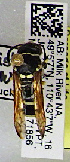  (Ancistrocerus sp. W - PMAE1011)  @11 [ ] BY-NC-ND (2024) Royal Alberta Museum Royal Alberta Museum