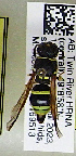  ( - PMAE1017)  @11 [ ] BY-NC-ND (2024) Royal Alberta Museum Royal Alberta Museum
