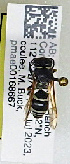  ( - PMAE1021)  @11 [ ] BY-NC-ND (2024) Royal Alberta Museum Royal Alberta Museum