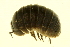  ( - BIOUG00940-G03)  @13 [ ] CreativeCommons - Attribution (2011) CBG Photography Group Centre for Biodiversity Genomics