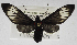  ( - USNM ENT 01069612)  @11 [ ] Unspecified (default): All Rights Reserved  Unspecified Unspecified