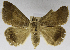  ( - USNM ENT 01373020)  @11 [ ] Unspecified (default): All Rights Reserved  Unspecified Unspecified