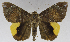  ( - USNM ENT 01373052)  @14 [ ] Unspecified (default): All Rights Reserved  Unspecified Unspecified