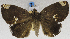  ( - USNM ENT 01374001)  @14 [ ] Unspecified (default): All Rights Reserved  Unspecified Unspecified