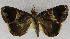  ( - USNM ENT 01374002)  @13 [ ] Unspecified (default): All Rights Reserved  Unspecified Unspecified