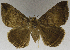  ( - USNM ENT 01374023)  @11 [ ] Unspecified (default): All Rights Reserved  Unspecified Unspecified