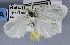  ( - USNM ENT 01374041)  @11 [ ] Unspecified (default): All Rights Reserved  Unspecified Unspecified