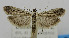  ( - USNM ENT 01067125)  @13 [ ] Unspecified (default): All Rights Reserved  Unspecified Unspecified
