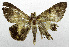  ( - USNM ENT 01067373)  @13 [ ] Unspecified (default): All Rights Reserved  Unspecified Unspecified