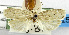  ( - USNM ENT 01067414)  @13 [ ] Unspecified (default): All Rights Reserved  Unspecified Unspecified