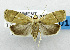  ( - USNM ENT 01067469)  @14 [ ] Unspecified (default): All Rights Reserved  Unspecified Unspecified