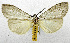  ( - USNM ENT 01067760)  @14 [ ] Unspecified (default): All Rights Reserved  Unspecified Unspecified