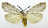  ( - USNM ENT 01067762)  @14 [ ] Unspecified (default): All Rights Reserved  Unspecified Unspecified