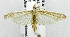  ( - USNM ENT 01067790)  @14 [ ] Unspecified (default): All Rights Reserved  Unspecified Unspecified