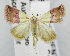  ( - USNM ENT 01067798)  @13 [ ] Unspecified (default): All Rights Reserved  Unspecified Unspecified
