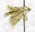  ( - USNM ENT 01067890)  @11 [ ] Unspecified (default): All Rights Reserved  Unspecified Unspecified