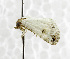  ( - USNM ENT 01067990)  @12 [ ] Unspecified (default): All Rights Reserved  Unspecified Unspecified