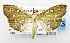  ( - USNM ENT 01068002)  @11 [ ] Unspecified (default): All Rights Reserved  Unspecified Unspecified