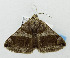  ( - USNM ENT 01068204)  @11 [ ] Unspecified (default): All Rights Reserved  Unspecified Unspecified