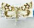  ( - USNM ENT 01068269)  @14 [ ] Unspecified (default): All Rights Reserved  Unspecified Unspecified
