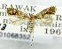  ( - USNM ENT 01068352)  @11 [ ] Unspecified (default): All Rights Reserved  Unspecified Unspecified