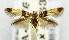  ( - USNM ENT 01068651)  @11 [ ] Unspecified (default): All Rights Reserved  Unspecified Unspecified