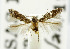  ( - USNM ENT 01068691)  @11 [ ] Unspecified (default): All Rights Reserved  Unspecified Unspecified