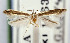  ( - USNM ENT 01068695)  @11 [ ] Unspecified (default): All Rights Reserved  Unspecified Unspecified