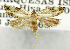  ( - USNM ENT 01068716)  @11 [ ] Unspecified (default): All Rights Reserved  Unspecified Unspecified