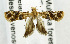  ( - USNM ENT 01068950)  @12 [ ] Unspecified (default): All Rights Reserved  Unspecified Unspecified