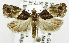 ( - USNM ENT 01068981)  @14 [ ] Unspecified (default): All Rights Reserved  Unspecified Unspecified