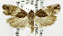  ( - USNM ENT 01068982)  @13 [ ] Unspecified (default): All Rights Reserved  Unspecified Unspecified