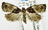  ( - USNM ENT 01068983)  @13 [ ] Unspecified (default): All Rights Reserved  Unspecified Unspecified