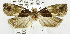  ( - USNM ENT 01068984)  @12 [ ] Unspecified (default): All Rights Reserved  Unspecified Unspecified