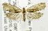  ( - USNM ENT 01068987)  @12 [ ] Unspecified (default): All Rights Reserved  Unspecified Unspecified