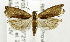  ( - USNM ENT 01068989)  @12 [ ] Unspecified (default): All Rights Reserved  Unspecified Unspecified