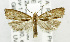  ( - USNM ENT 01068990)  @12 [ ] Unspecified (default): All Rights Reserved  Unspecified Unspecified