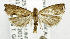 ( - USNM ENT 01068993)  @12 [ ] Unspecified (default): All Rights Reserved  Unspecified Unspecified