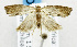  ( - USNM ENT 01068994)  @12 [ ] Unspecified (default): All Rights Reserved  Unspecified Unspecified