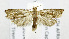  ( - USNM ENT 01068995)  @12 [ ] Unspecified (default): All Rights Reserved  Unspecified Unspecified
